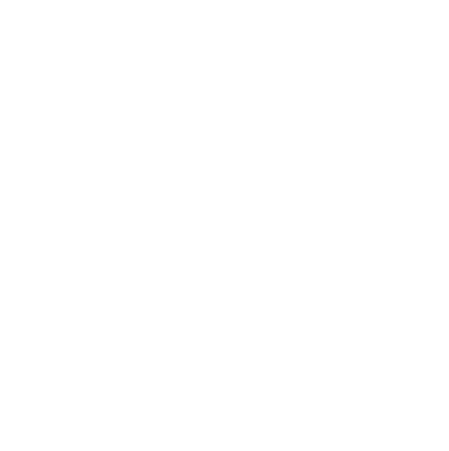 Pudong logo