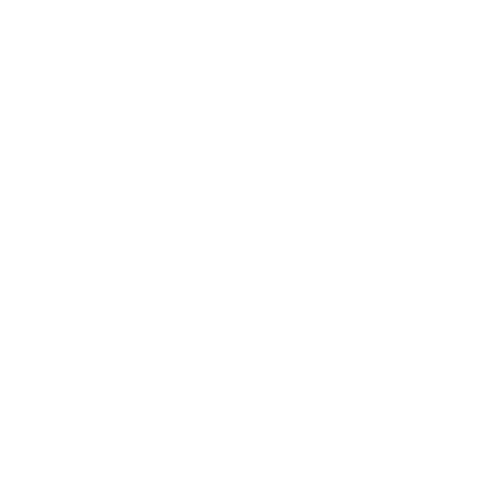 Pudong logo